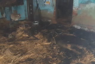 fire break out in puri matalpur village