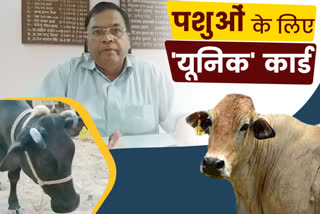 animals will be vaccinated in bihar