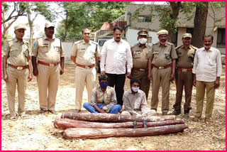 red sandalwood seized