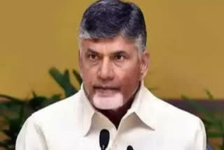 chandra babu comments on ysrcp government