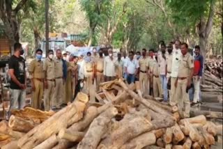 Forest Department seized timber Khoksa