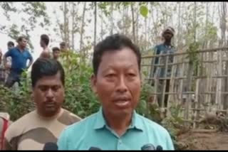 forest operation in bongaigaon