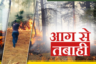 Fire Forest in Uttarakhand