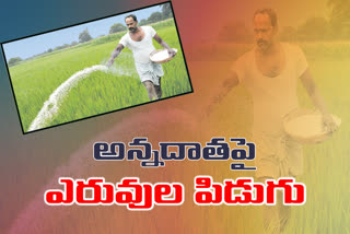 fertilizer prices are increased in telangana farmers facing financial problems