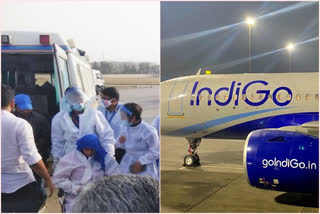 child born on indigo airplane  indigo airplane  birth certificate  Girl born onboard flight  Girl born onboard struggling to get a birth certificate  Rajasthan woman gives birth mid air  കുഞ്ഞിന്‍റെ ജനന സർട്ടിഫിക്കറ്റിനായി നെട്ടോട്ടമോടി മാതാപിതാക്കൾ  രാജസ്ഥാന്‍