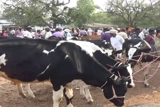 புஞ்சைபுளியம்பட்டி கால்நடைச் சந்தை