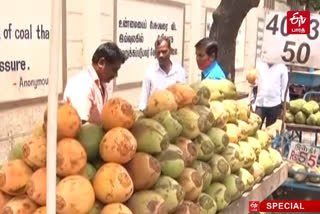 sales of summer fruits reached its peak in chennai