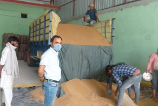 wheat purchases in laksar