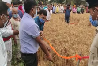 DM inspects crop and health centers in Saran
