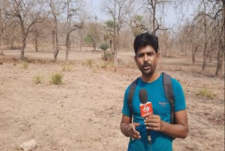 Bijapur Naxal encounter, etv bharat ground zeoro report