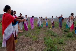 ধেমাজি বুটিকোৰত বোৱাৰী বিহুত ব্যস্ত মহিলাসকল