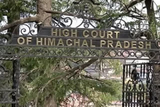 himachal high court issues notice to himachal govement on appointment of hpu vice chancellor