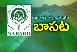 nabard support, nabard loans