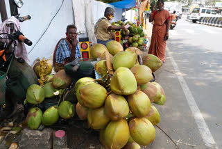 சுட்டெரிக்கும் கோடை: இளநீர் விற்பனை அமோகம்!