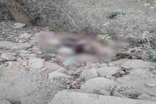 women dead body lying on the roadside in khunti