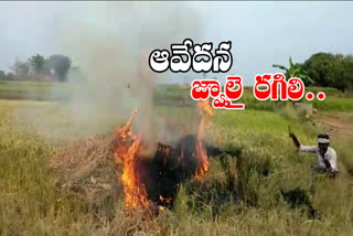 A farmer set fire to a crop