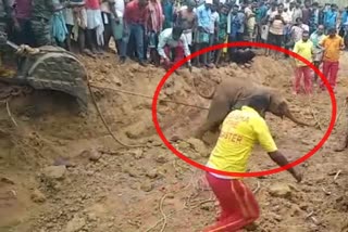 Baby elephant resued from 15 feet Well