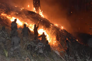 indian army douses raging forest fire at anjaw in arunachal