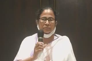 mamata