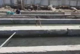 وادی کشمیر کے نوجوان ماہی گیری کی جانب راغب