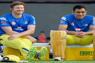 IPL 2021: Shane Watson wants CSK to 'make it four titles' this year