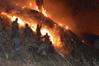 In picture: Jawans fight forest fire in Arunachal's Anjaw