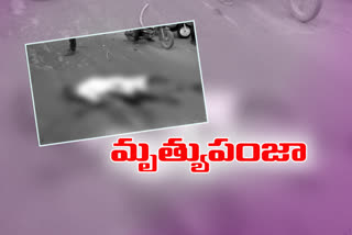 man died in a road accident in narakoduru guntur district