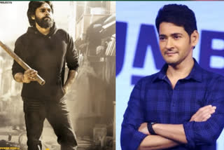 Maheshbabu Praises Vakeelsaab team