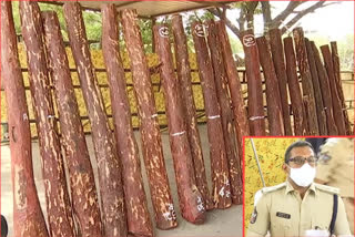 red sandalwood smuggling