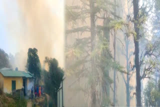 Dhanaulti forest Fire