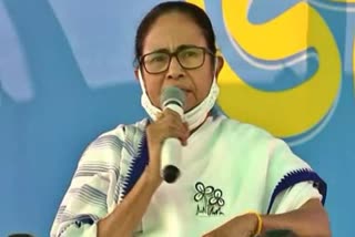 mamata banerjee