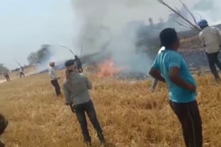 Fire in wheat crop in Hazaribag