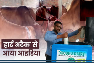 a 2 cow milk production in darbhanga