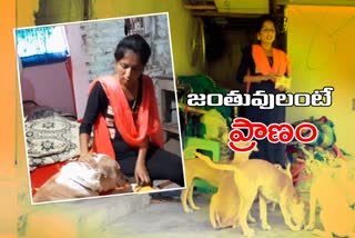 pet dogs family story, lambadi palli pet dogs