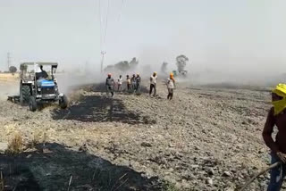 10 acres of wheat crop burnt to ashes due to fire in Majra village of Karnal