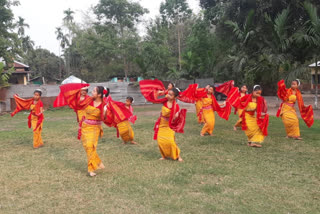 চিৰাঙত চলিছে ৰংজালী বৈশাগুক আদৰাৰ প্ৰস্তুতি