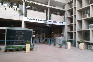 Punjab and Haryana high court chandigarh