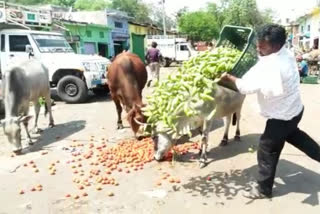 vegetable vendors throw vegetables