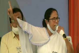 Will introduce bill to ban those making violent, inflammatory remarks from politics: Mamata