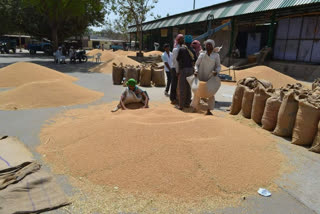 record in wheat procurement in uttar pradesh