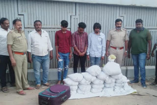 4 peddlers arrested, 4 peddlers arrested in Drugs case, 4 peddlers arrested in Drugs case in Bangalore, Bangalore crime news, 4 ಪೆಡ್ಲರ್ಸ್​ ಬಂಧನ, ಡ್ರಗ್​ ಪ್ರಕರಣದಲ್ಲಿ 4 ಪೆಡ್ಲರ್ಸ್​ ಬಂಧನ, ಬೆಂಗಳೂರಿನಲ್ಲಿ ಡ್ರಗ್​ ಪ್ರಕಣದಲ್ಲಿ 4 ಪೆಡ್ಲರ್ಸ್​ ಬಂಧನ, ಬೆಂಗಳೂರು ಅಪರಾಧ ಸುದ್ದಿ,