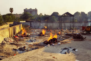 Cremation of 34 dead bodies