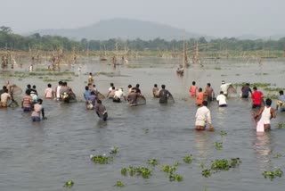 ঐতিহাসিক কদৈ বিলত সমূহীয়া মৎস্য চিকাৰ