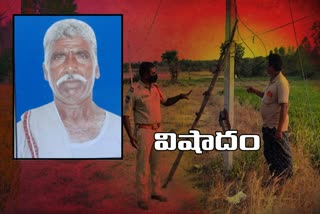 farmer dead, farmer dead with electric shock