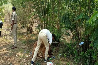 deadbody found with seperated body parts  in hubli