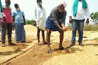 Washed rice grain