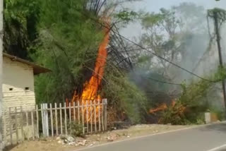 fire in garbage of Barmasia Pampu pond