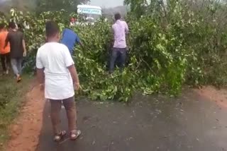 DANGER STORM HIT AT KARBIANGLONG