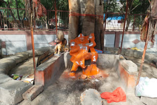 Delhi man defiles Hanuman idols