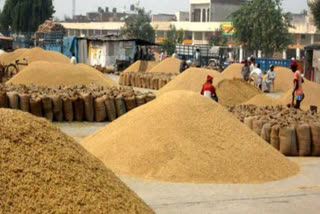 wheat procured Haryana, गेहूं खरीद हरियाणा